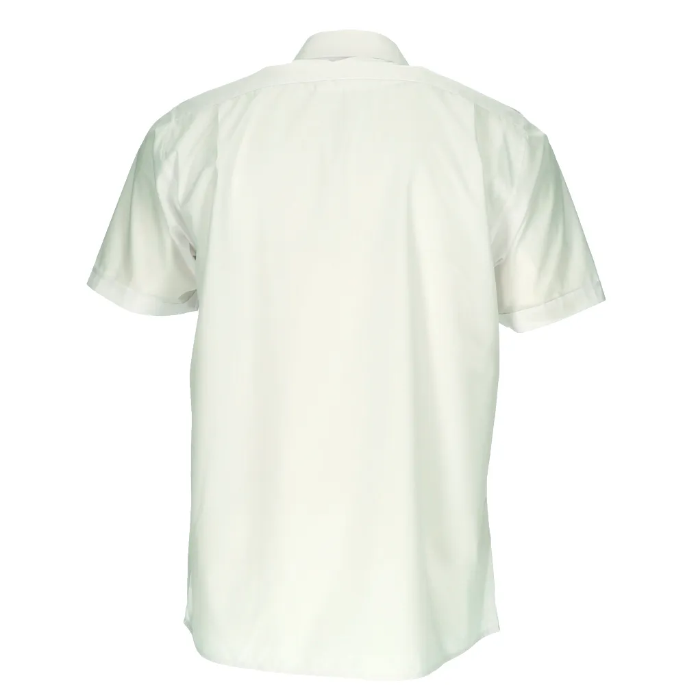 a_0_12_1000_0_0.webp