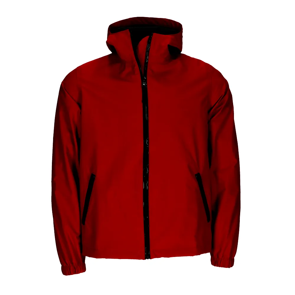 a_0_0_1000_0_0.webp