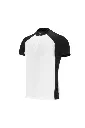 a_0_2_569_0_0.webp