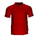 a_0_0_1000_0_0.webp